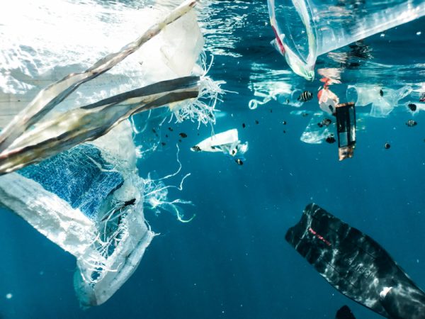 underwater photograph of waste plastic in the ocean, wish fish swimming around it