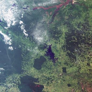 Ecometrica Brazil Amazon Basin