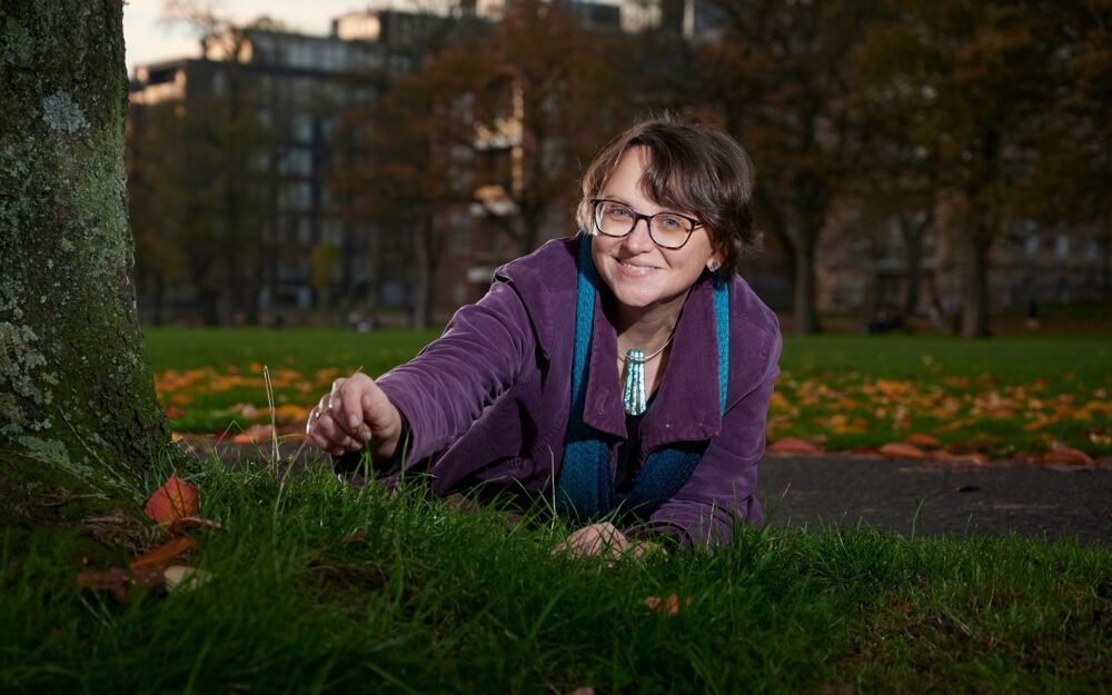 23 DISC Grass Roots Blog