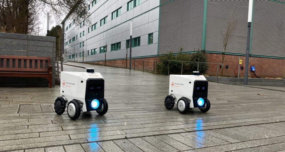 Pixie and Pixa at Kings Buildings crop