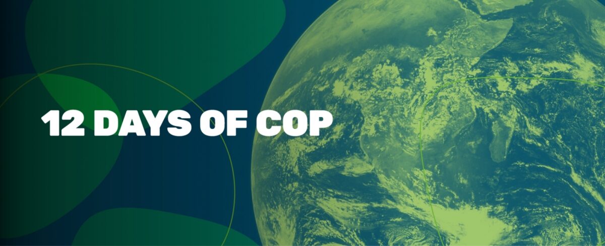23 IND11 12 Days of Cop Web header