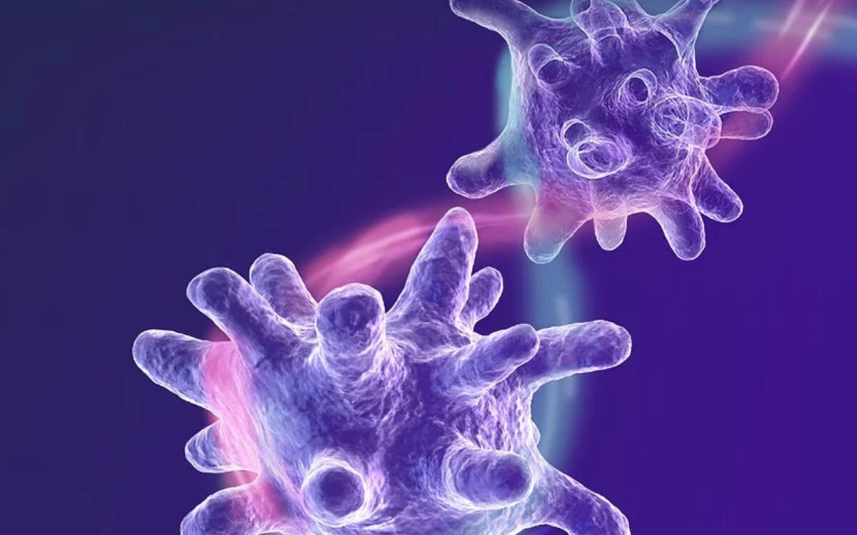 21 DISC01 case Study feature image macomics