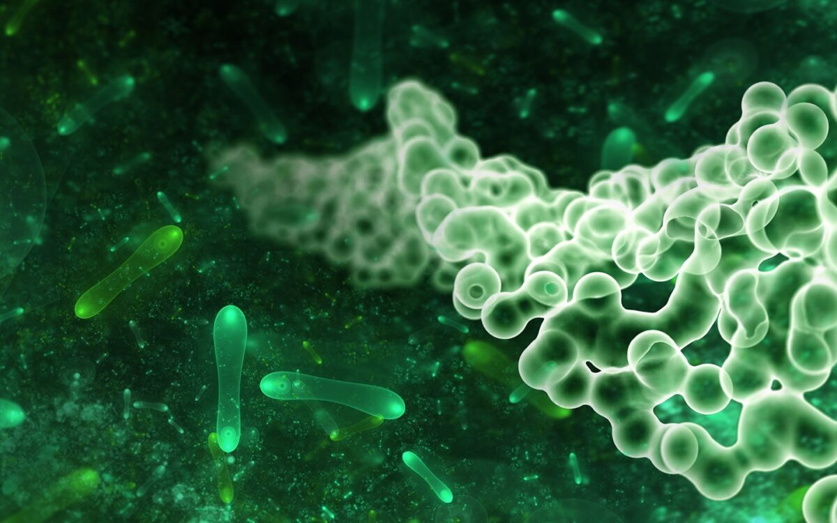 21 DISC02 ppp final Stephen Wallace Web Image