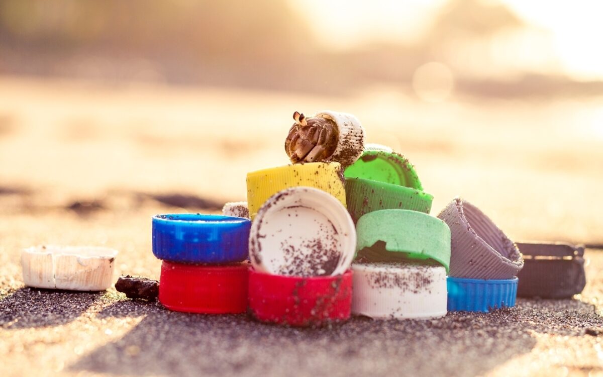 21 DISC02 ppp final vanillin web V2 1