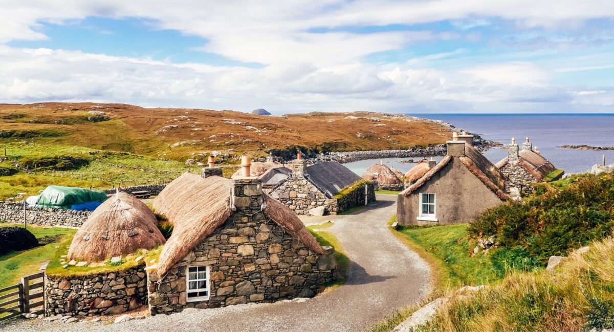 23 DISC Grass Roots Header