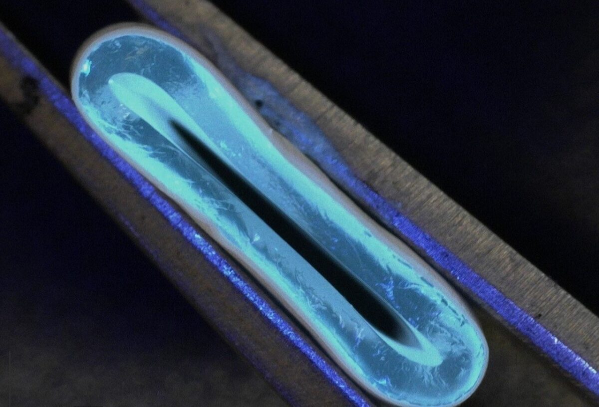 3 D printed blood vessel Credit Norbert Radasci University of Edinburgh1