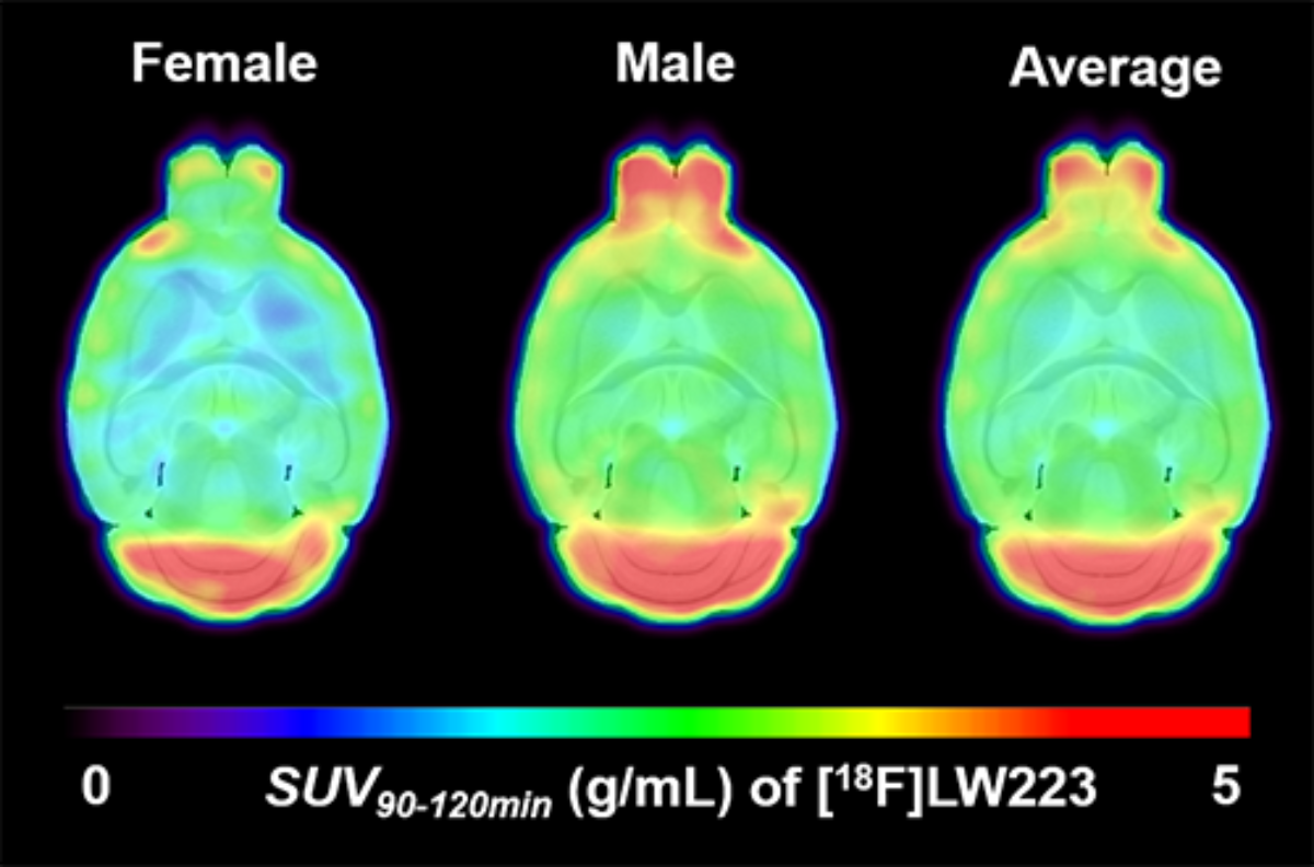 4 Facilities imaging