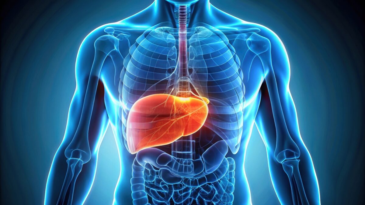 Adobe Stock 1112356125lapeepon WEB