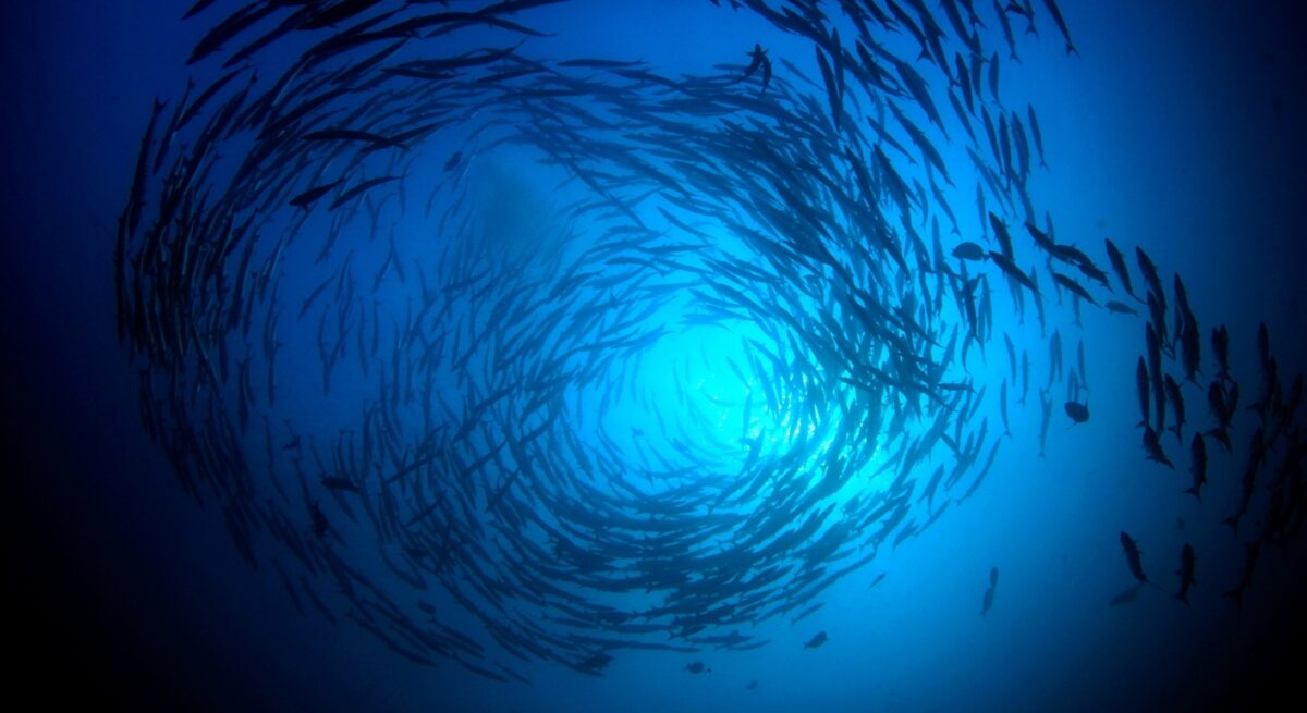 Adobe Stock 241087318 Richard Carey web jpeg