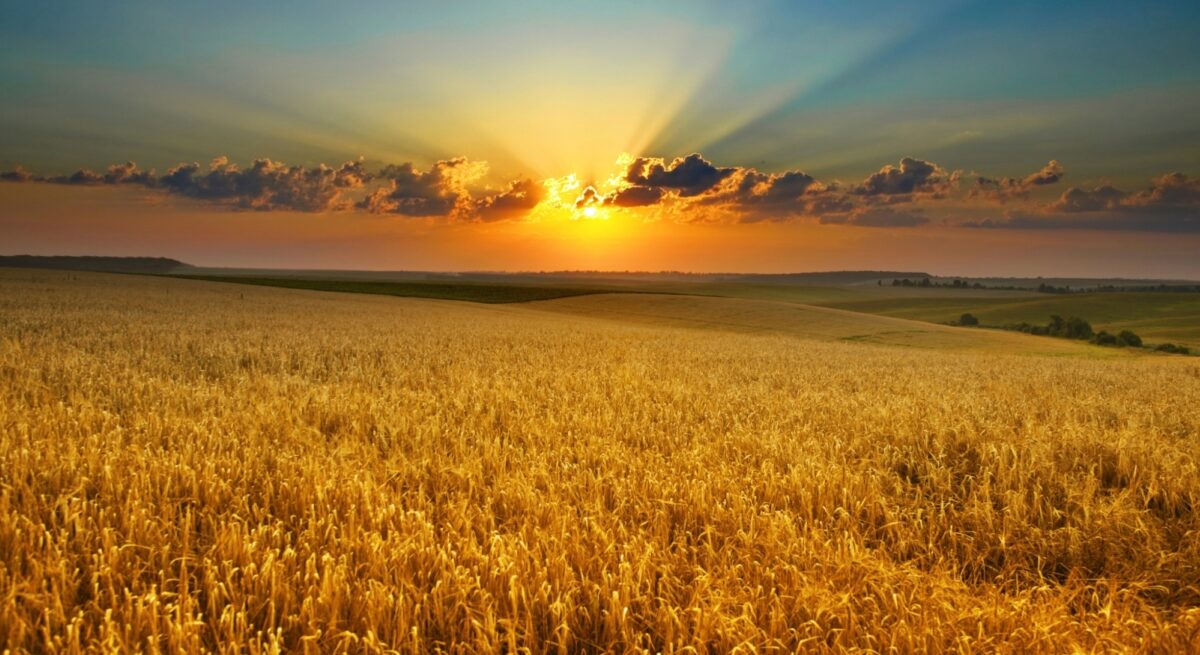 Adobe Stock 8765061 Mykola Velychko Web