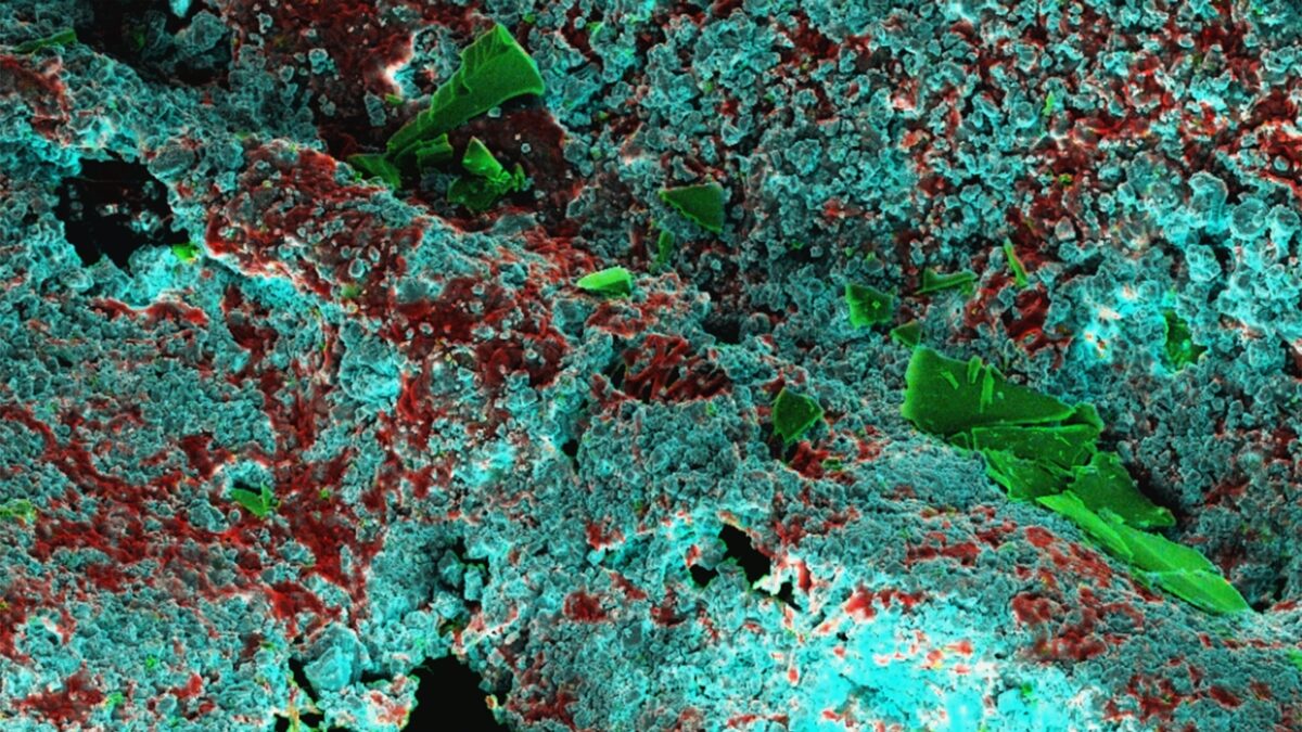 Cryo EDS paint Web Header