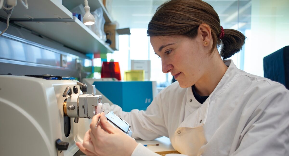 Dr Sofia Ferreira Gonzalez 0056 Header