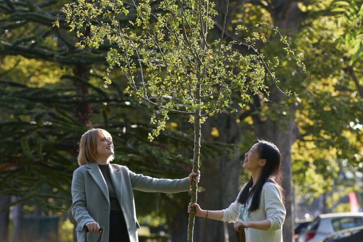 Edinburgh Innovations Tree Planting 0011