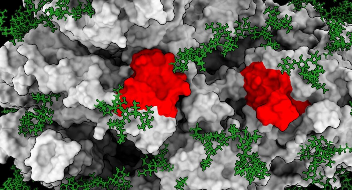 Nick Gilbert Bench to Bedside Header