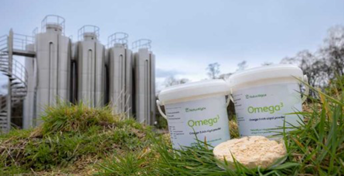 OCC Accelerate body image 2