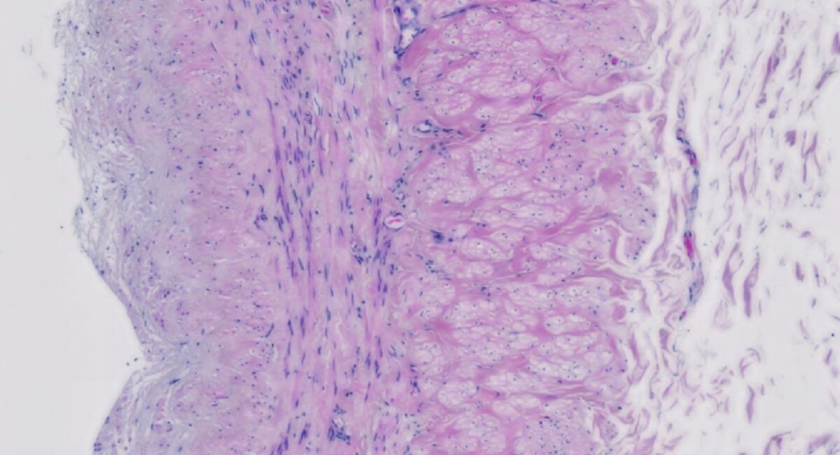 Simon Brown Bench to Bedside Header