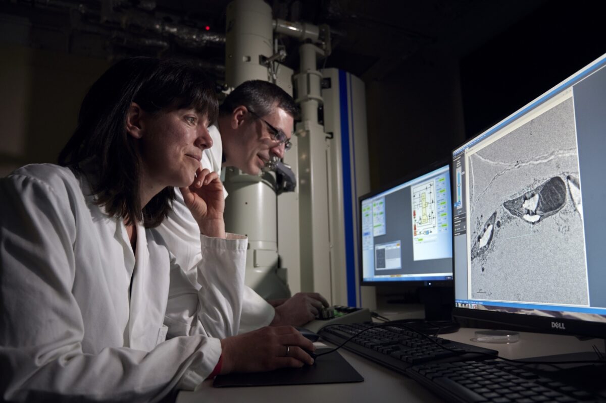 UOE Facilities KB5 0007