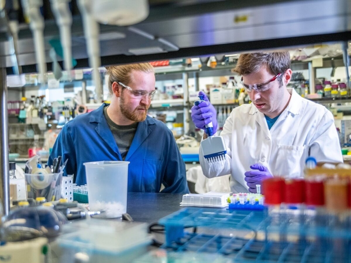 Studentships images2