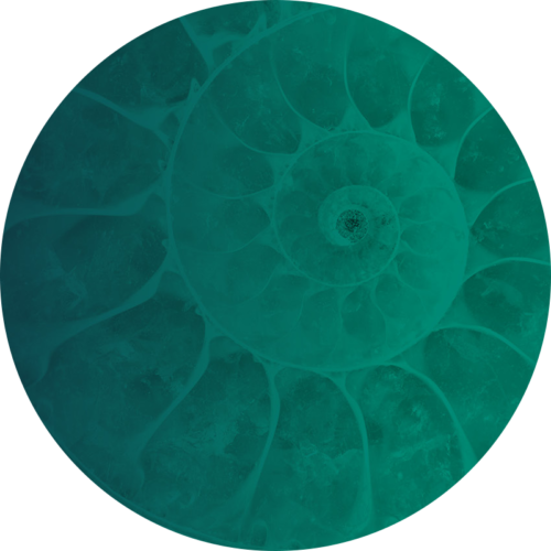 Circular Economy profile