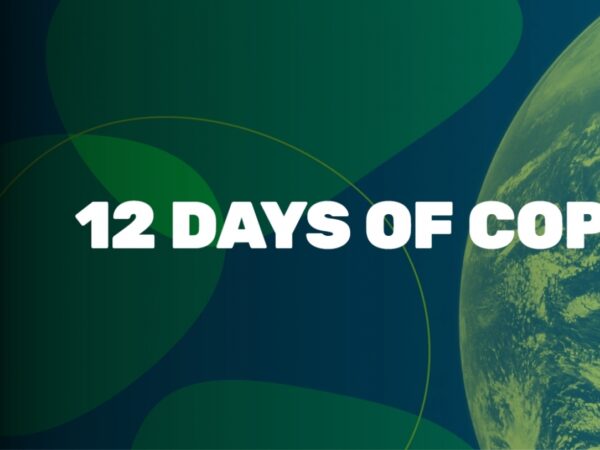 23 IND11 12 Days of Cop Web header