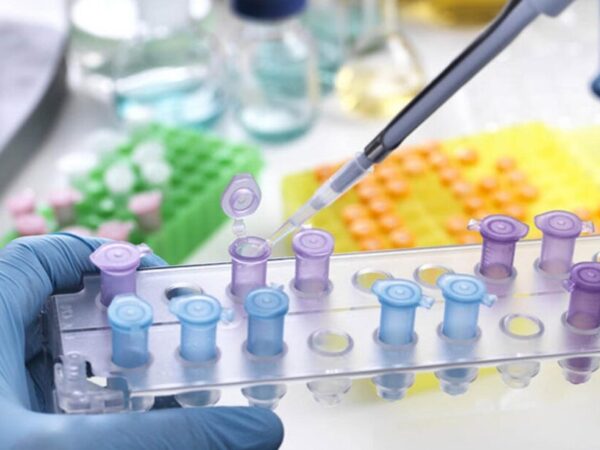 21 DISC01 Case studies Stuart Cobbfeatured image 980x612