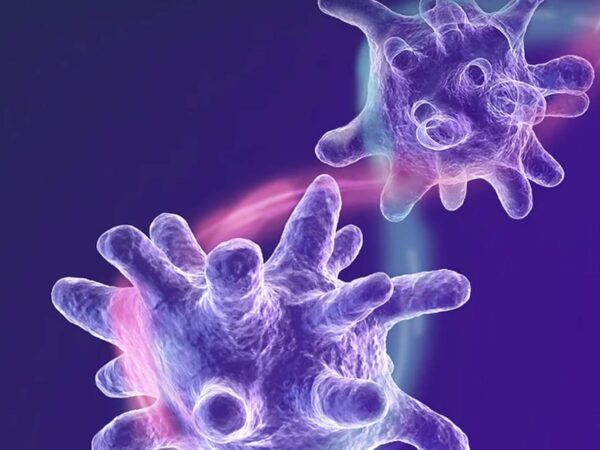 21 DISC01 case Study feature image macomics