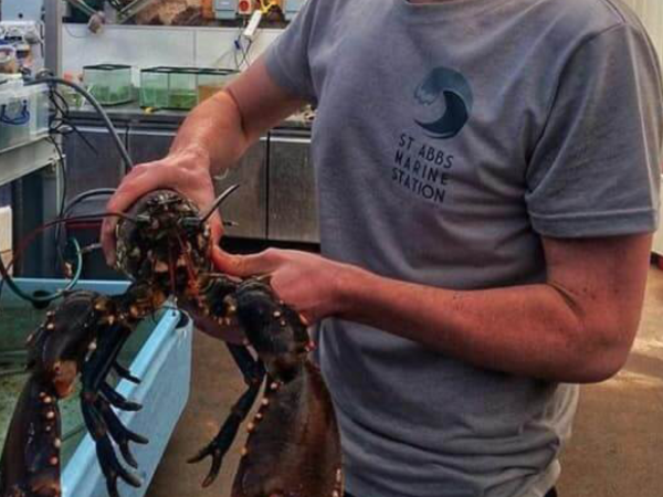 21 DISC02 ppp Eyemouth Marine Murray Roberts Header