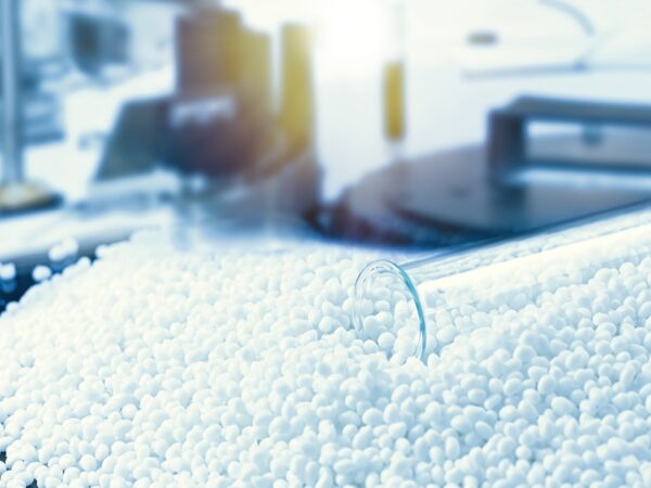 21 DISC02 ppp final Jennifer Garden Web