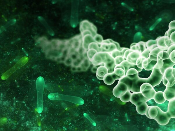 21 DISC02 ppp final Stephen Wallace Web Image