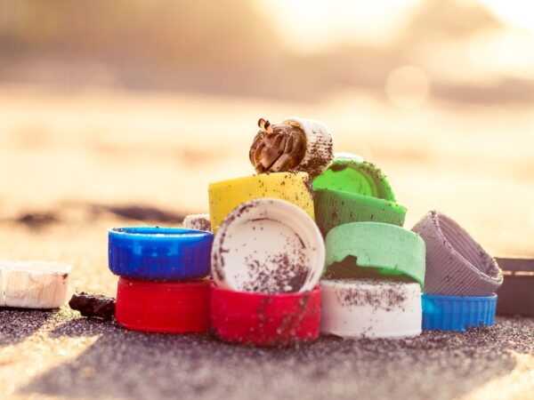 21 DISC02 ppp final vanillin web V2 1