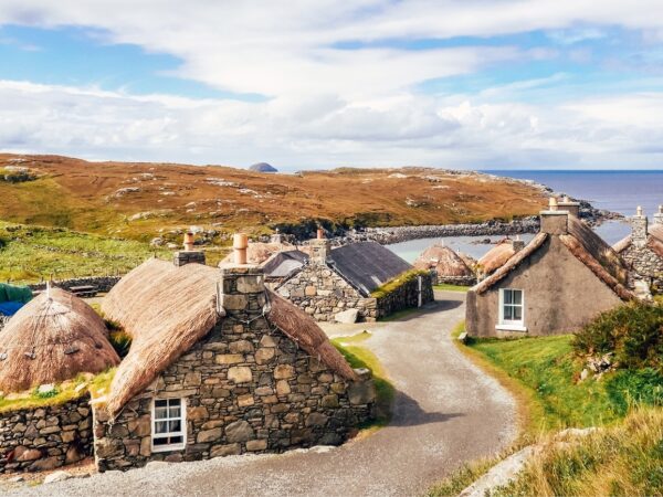 23 DISC Grass Roots Header