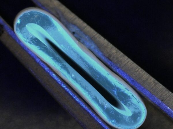 3 D printed blood vessel Credit Norbert Radasci University of Edinburgh1