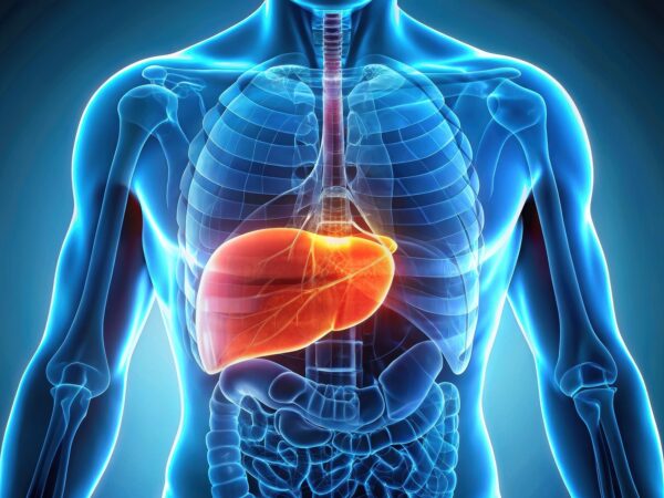 Adobe Stock 1112356125lapeepon WEB