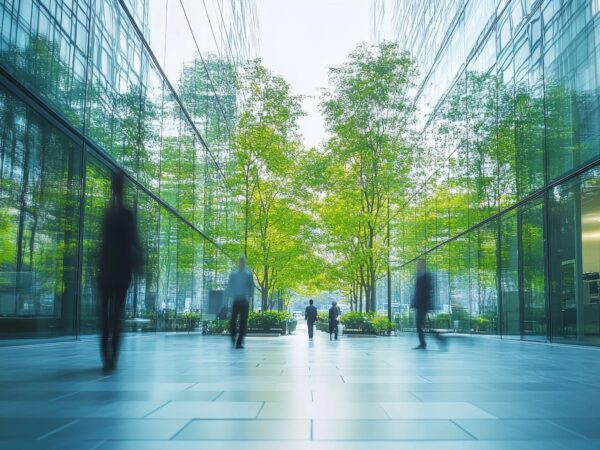 Adobe Stock 1403865655 Light Vista