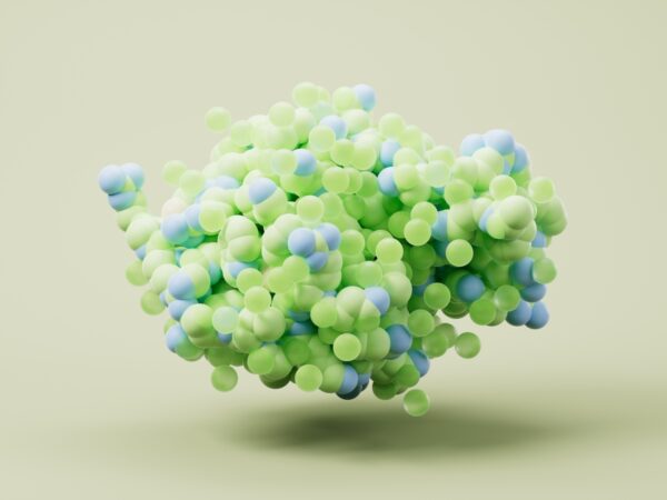 Adobe Stock 1494584472 Vink Fan