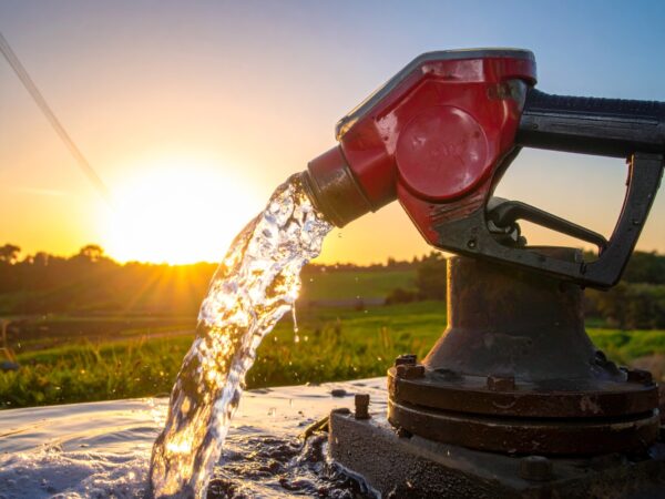 Adobe Stock 1715296349rizakurniawan