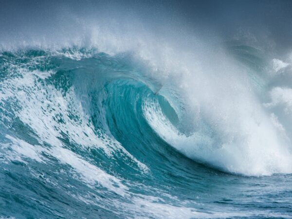 Adobe Stock 350238654irabel8 Header