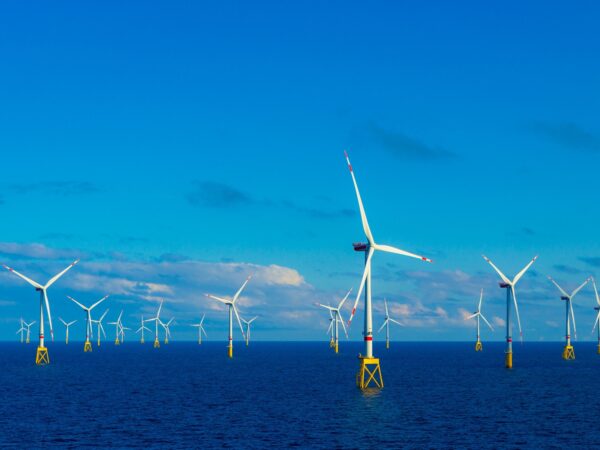 Adobe Stock 367112871 sm twixter