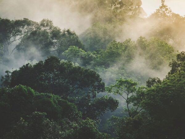 Adobe Stock 445062629chokniti web