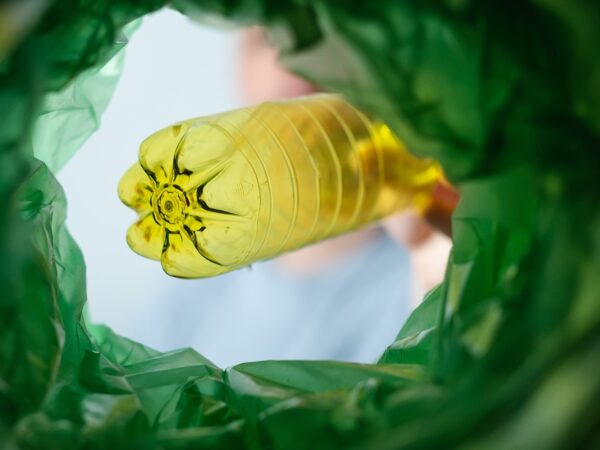 Adobe Stock 629856999 Halyna Rom Web Header