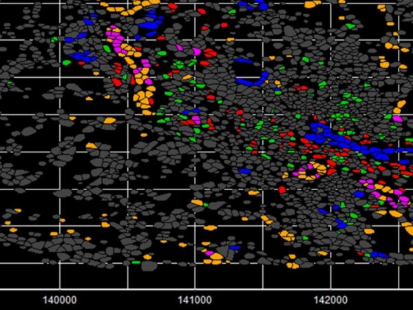 Bryan Conway Bench to Bedside Header