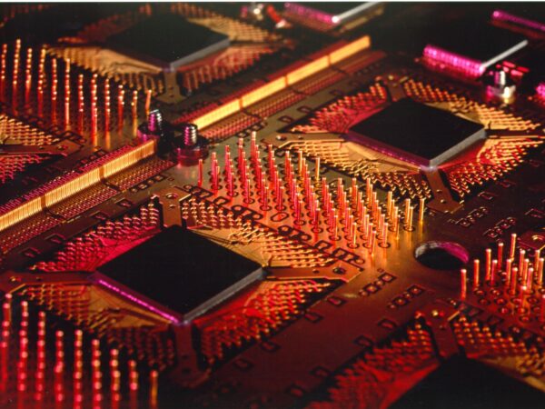 Cray Chip gold and Magenta