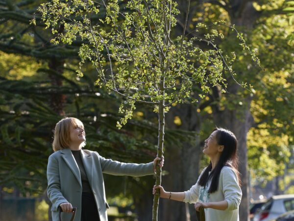 Edinburgh Innovations Tree Planting 0011