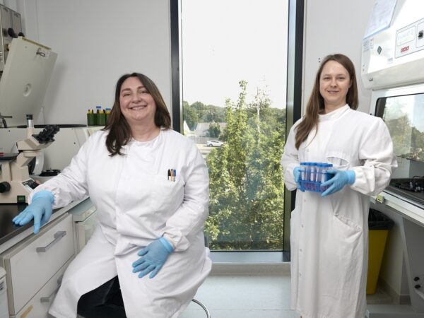 Excellio Labs web size