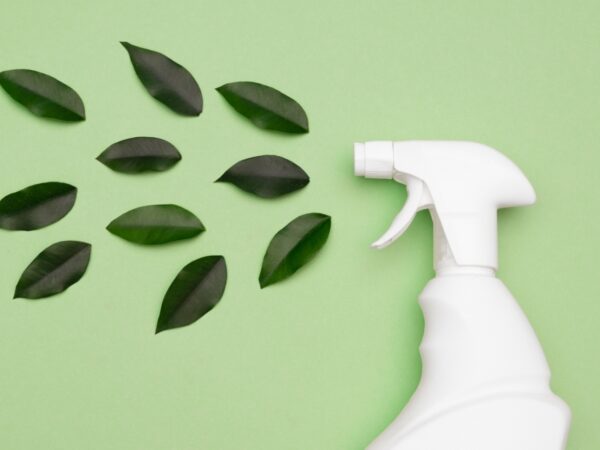 Getty Images 1312159195 Tanya Dolmatova