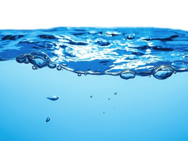 Getty Images 943359036cerber82 Crop