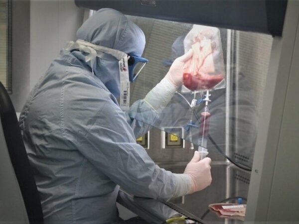 Resolution image 980x551