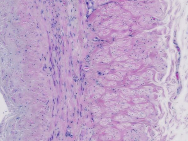 Simon Brown Bench to Bedside Header