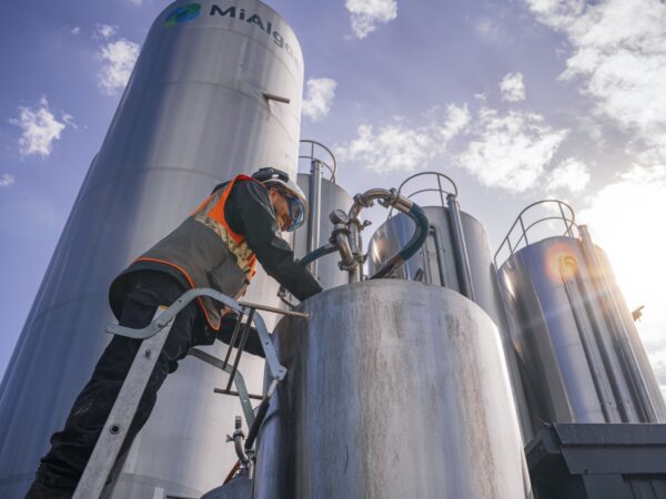 VM Mialgae August 24 7401909