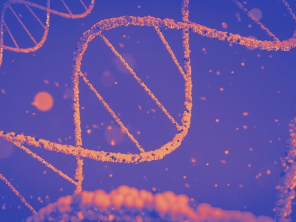 Brano unsplash Genetics and Cancer